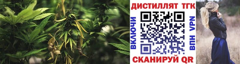 дарнет шоп  Дигора  ТГК вейп 